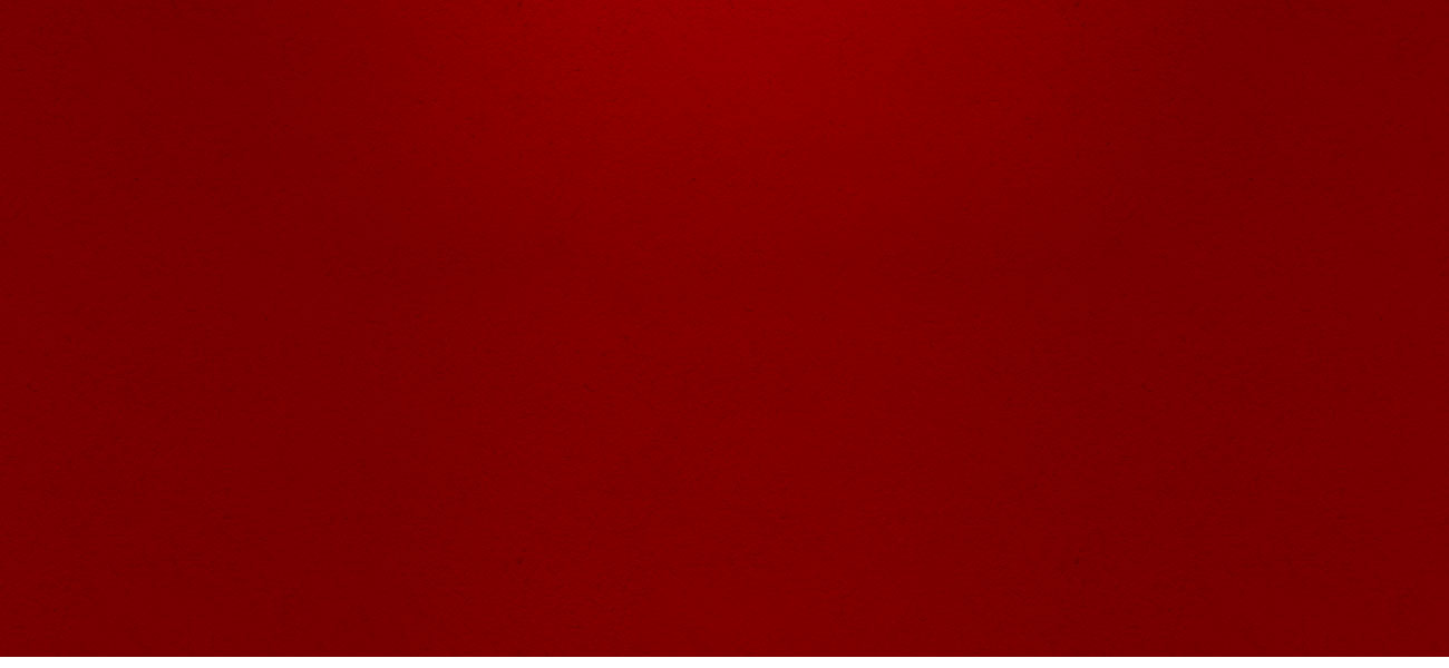 Deep burgundy-red textured backdrop with soft shadowed edges, evoking the richness of Tudor-era cloth and the gravity of history